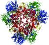 Biochemie Biochemie